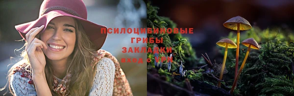 соль ск Касимов