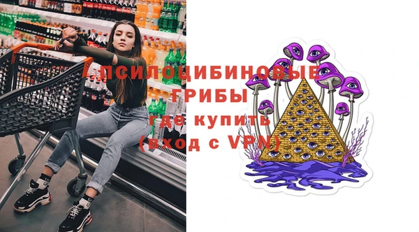 а пвп мука Инта