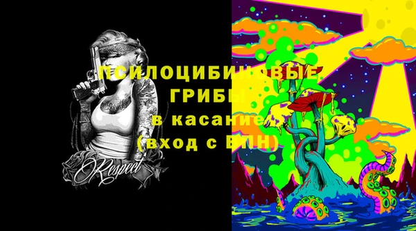 spice Каменногорск
