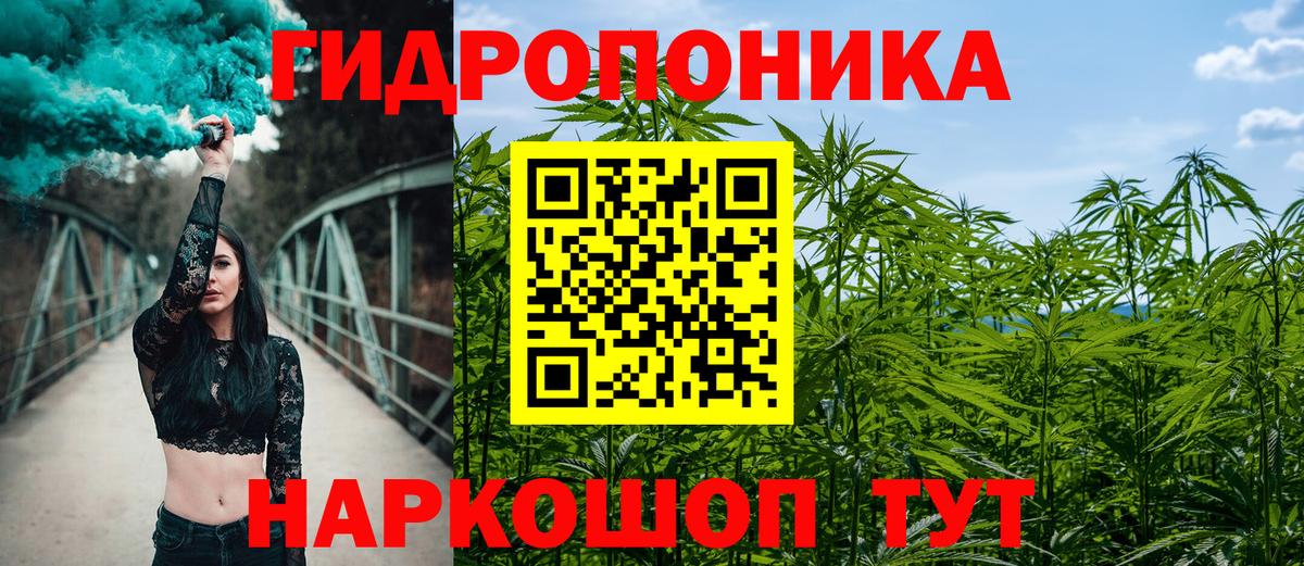 Каннабис семена  МАРИХУАНА Amnesia  Бошки Шишки гибрид  Бошки Шишки VHQ  Череповец  Вход с VPN 